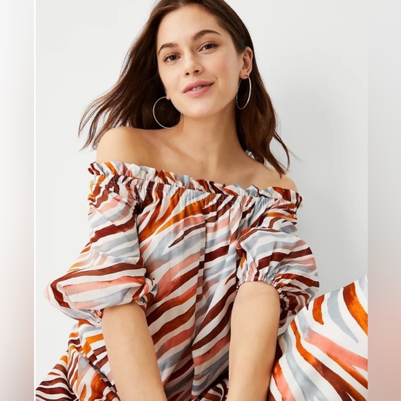 Ann Taylor Petite Zebra Stripe Boatneck Midi Dress - Picture 4 of 9